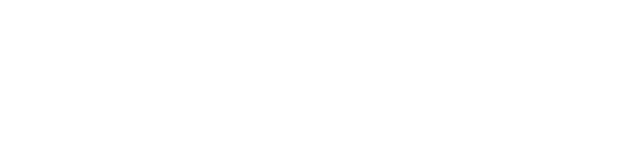 Devin Logo - Platinum Sponsor